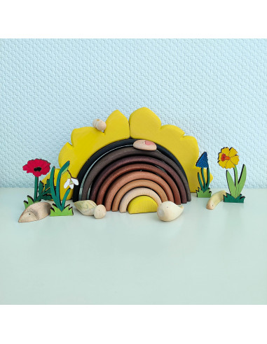 Zonnebloem regenboog