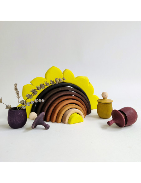 Zonnebloem regenboog