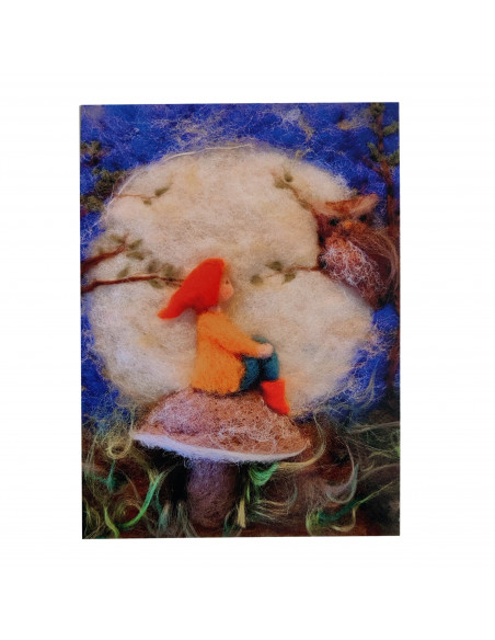 Ansichtkaart op een paddestoel Het Wol Feetje