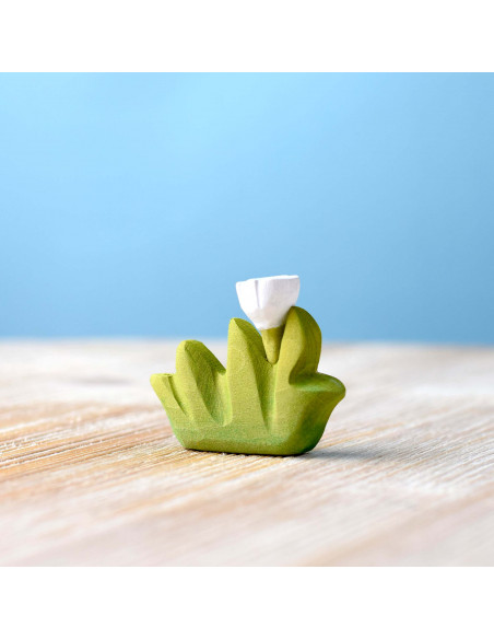 Gras klein met witte bloem