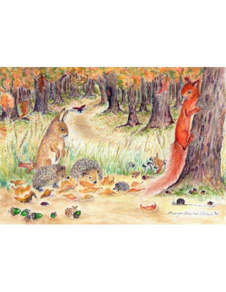 Ansichtkaart herfstbos Margo Heine