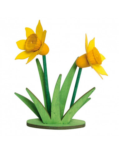 Narcis hout