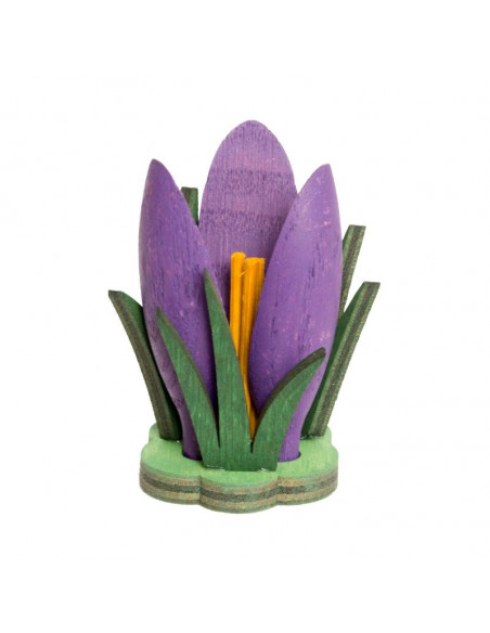 Krokus lila hout