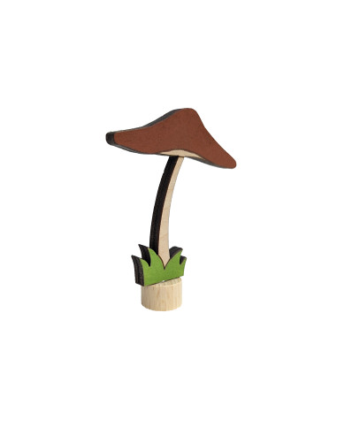 Bruine paddestoel steker