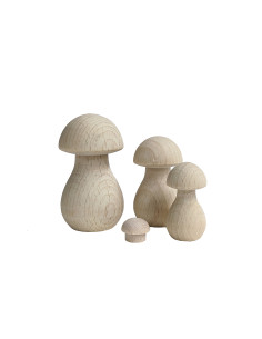 Miniatuur paddestoeltje 2