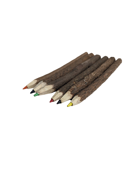 6x kleurpotlood met boombast