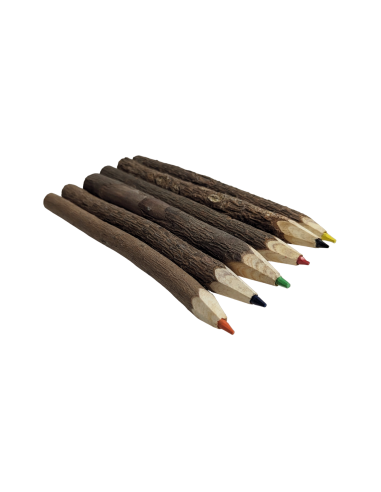 6x kleurpotlood met boombast