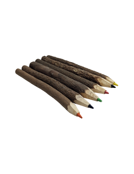 6x kleurpotlood met boombast