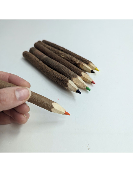 6x kleurpotlood met boombast