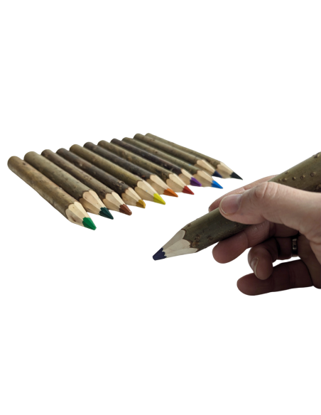 12x potloden met boombast