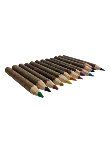 12x potloden met boombast