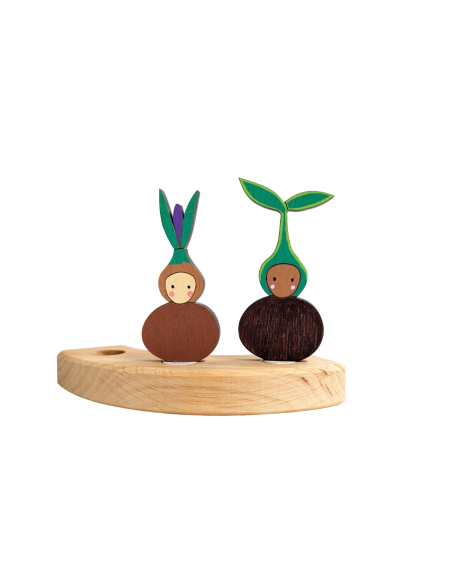 Wortelkind krokus steker