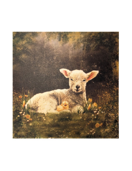 Lammetje plaat Iris Esther