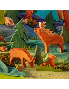 Puntige struik Ostheimer 2