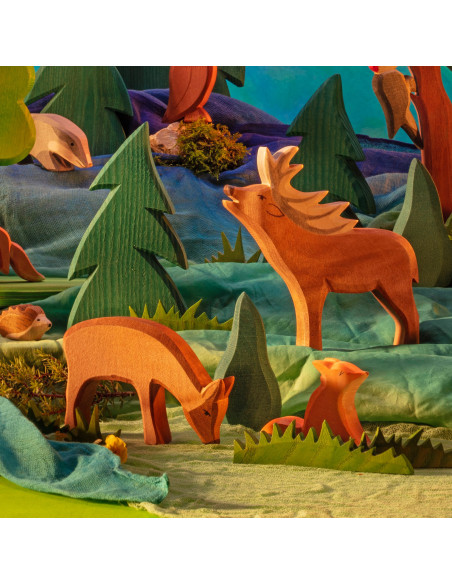 Puntige struik Ostheimer