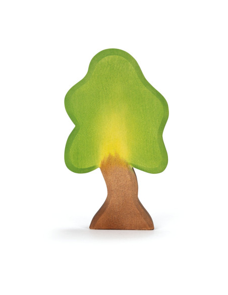 Kleine eikenboom met voet Ostheimer