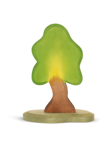 Kleine eikenboom met voet Ostheimer