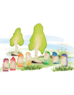 Berkenboom klein Ostheimer 2