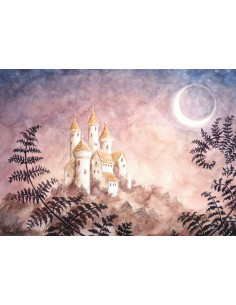 Ansichtkaart winters kasteel Raphaela Berendt