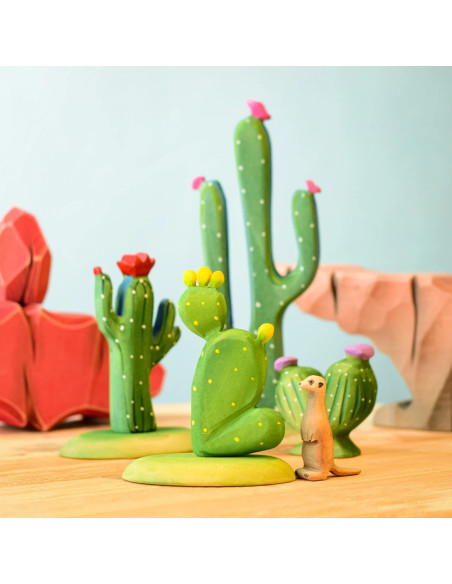 Houten cactus set