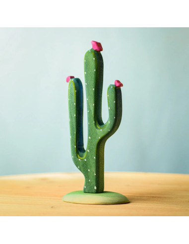 Houten cactus set