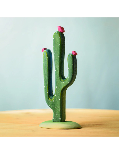 Houten cactus set