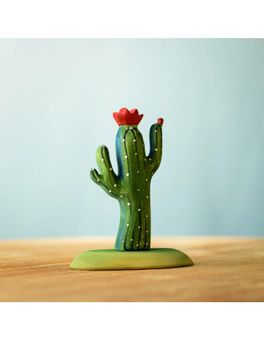 Houten cactus set