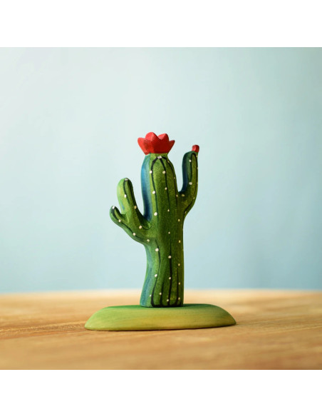 Houten cactus set
