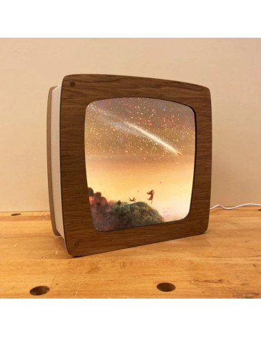 Vallende ster plaat voor seizoenslamp Mark Janssen