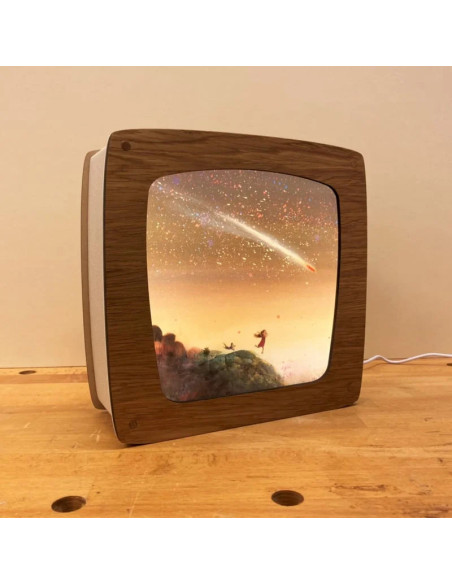 Vallende ster plaat voor seizoenslamp Mark Janssen