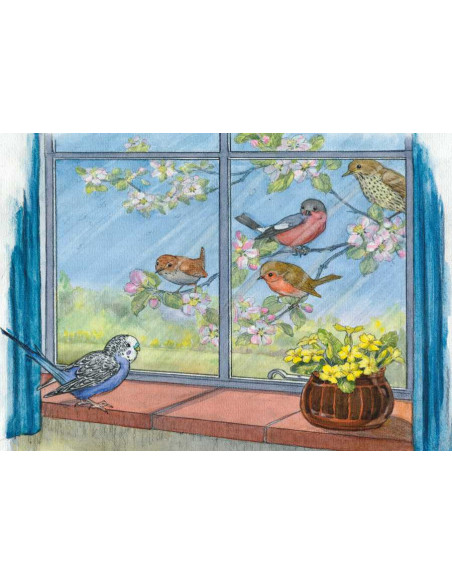 Ansichtkaart vogel buren Molly Brett