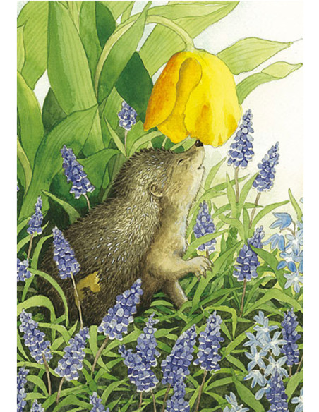 Ansichtkaart lente egel Inge Löök