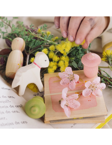 Hello Spring Ostheimer x Grapat