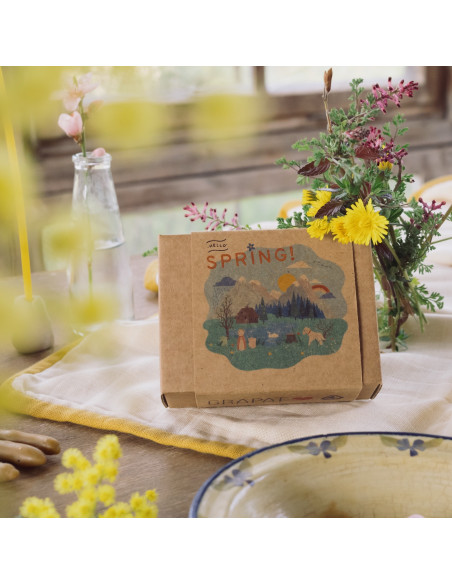 Hello Spring Ostheimer x Grapat