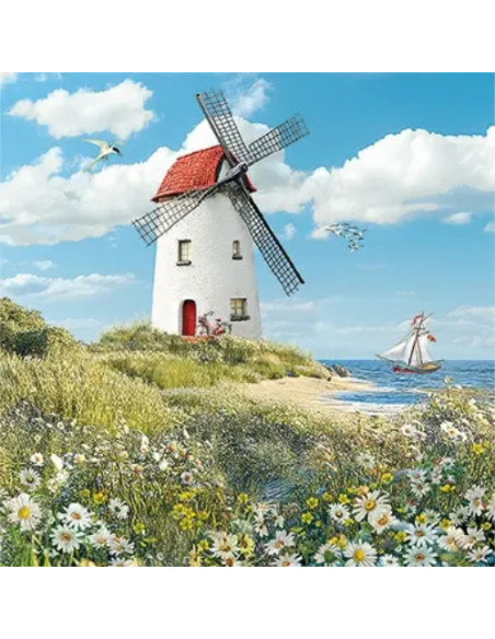 Ansichtkaart molen Barbara Behr