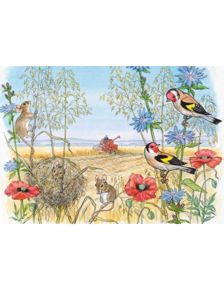 Ansichtkaart zomeroogst Molly Brett