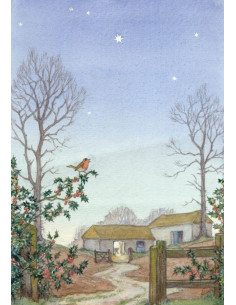 Ansichtkaart winters roodborstje Molly Brett