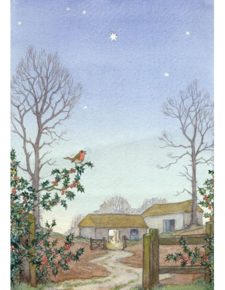 Ansichtkaart winters roodborstje Molly Brett