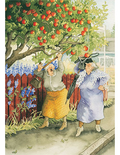 Ansichtkaart appels plukken Inge Löök