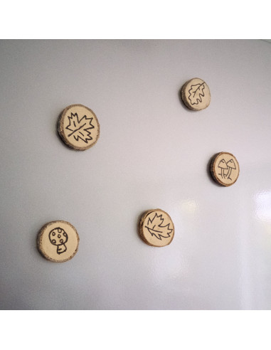 Knutsel houtplakjes groot