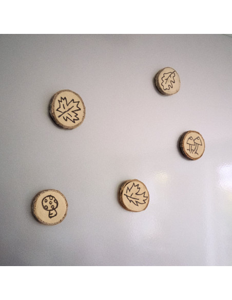 Knutsel houtplakjes groot