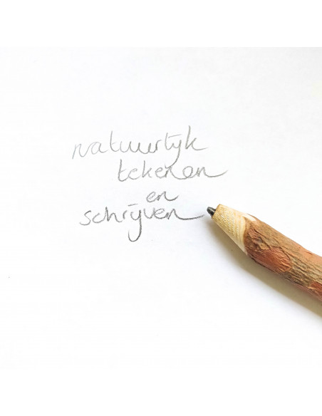 Potlood hazelnoottak