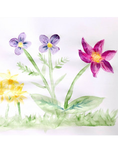 Natuurlijke verfset compleet 2