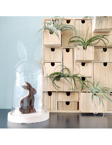 Haas met boombast rechtop