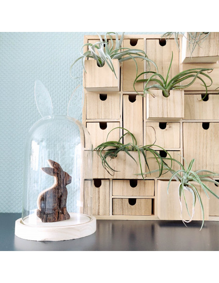 Haas met boombast rechtop