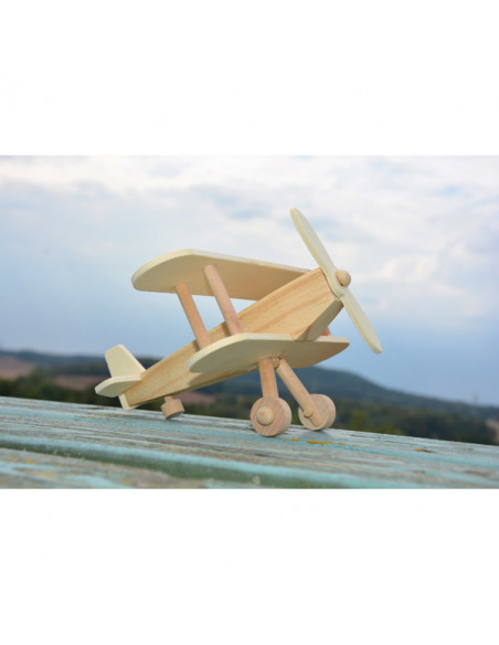 Houten vliegtuig bouwpakket