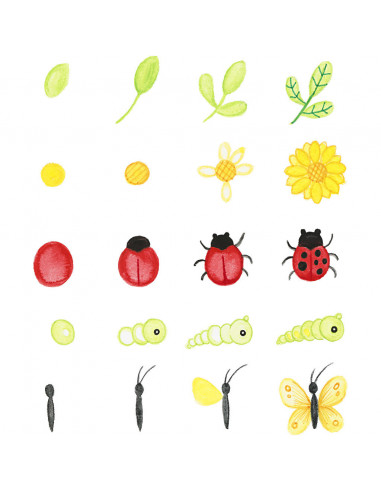 Natuur ontdekkings koffer