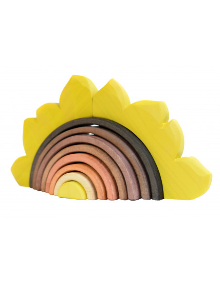 Zonnebloem regenboog