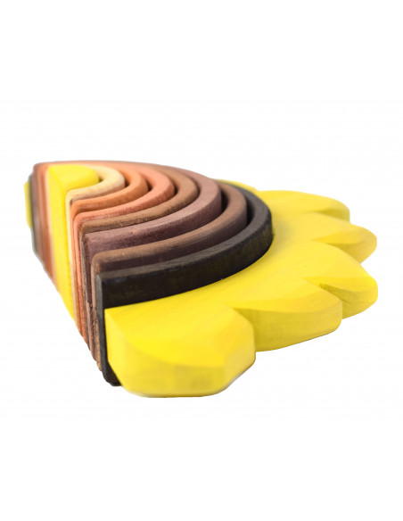 Zonnebloem regenboog