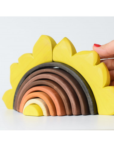 Zonnebloem regenboog